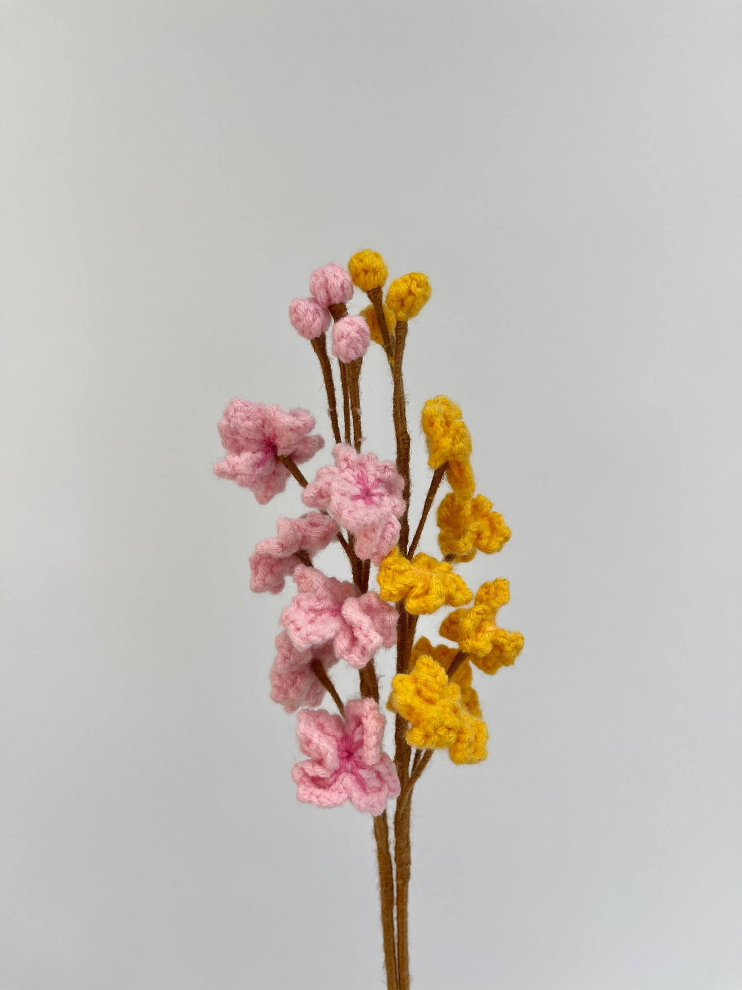 Blossoms