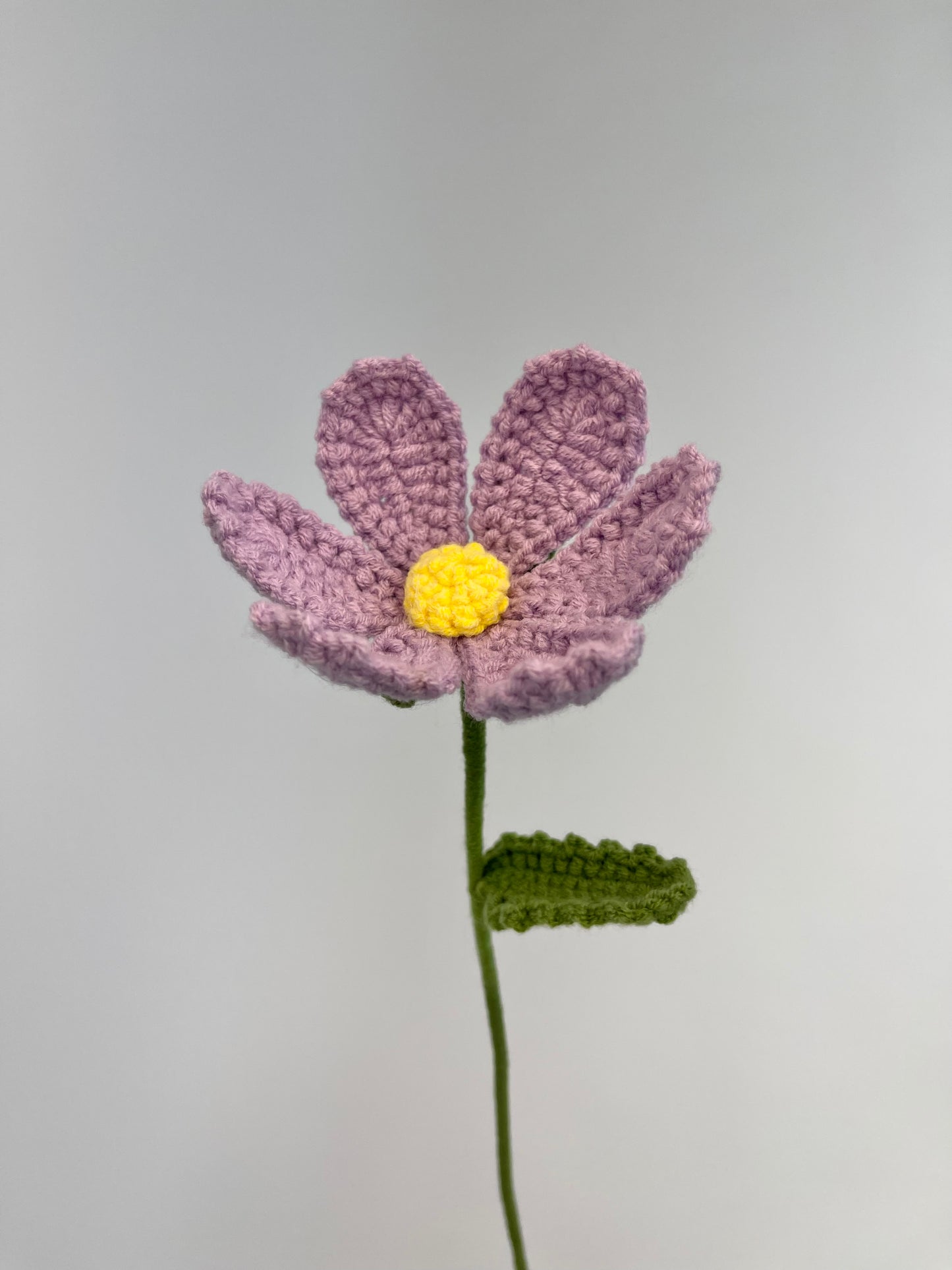 Cosmos