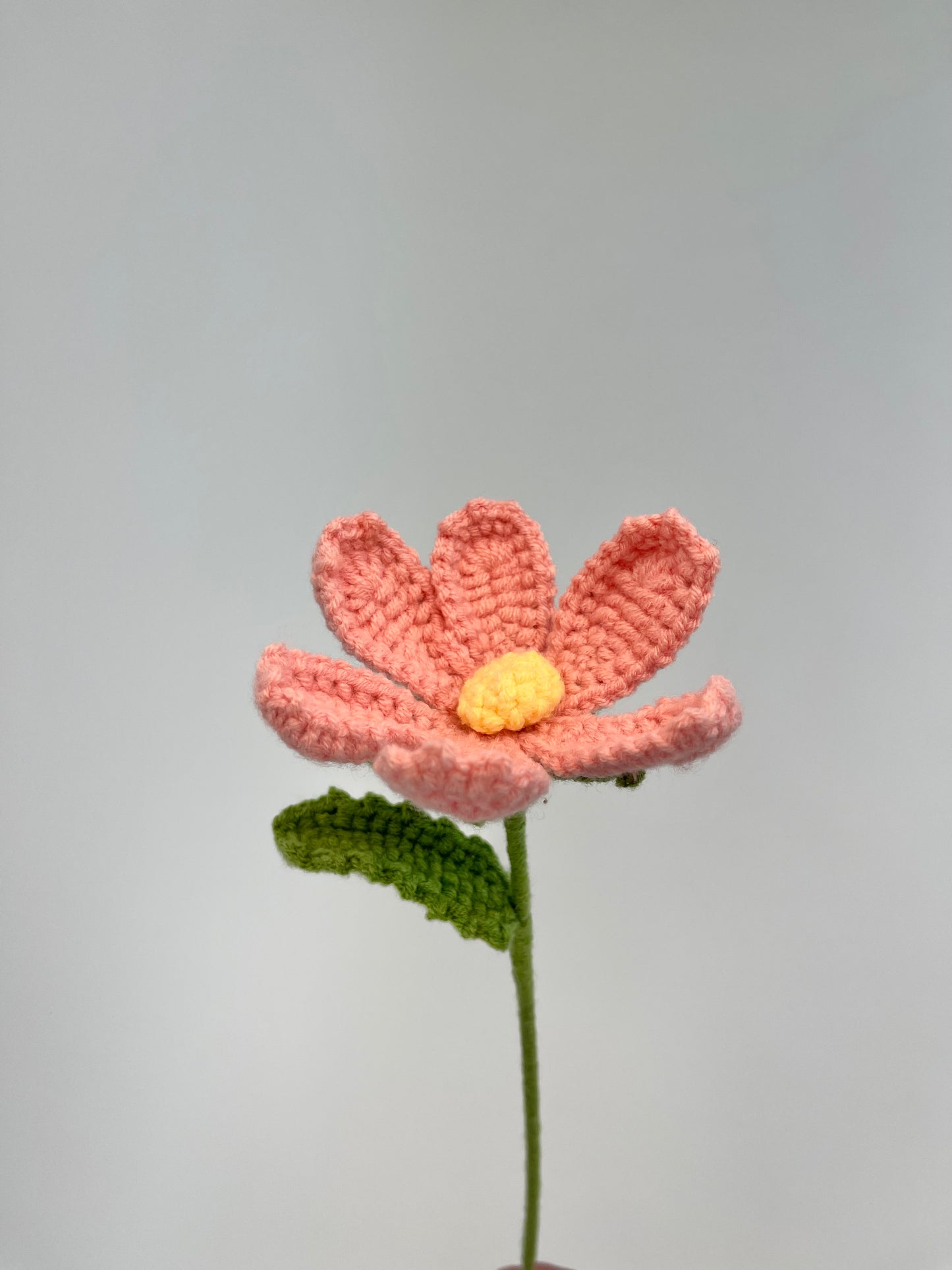 Cosmos
