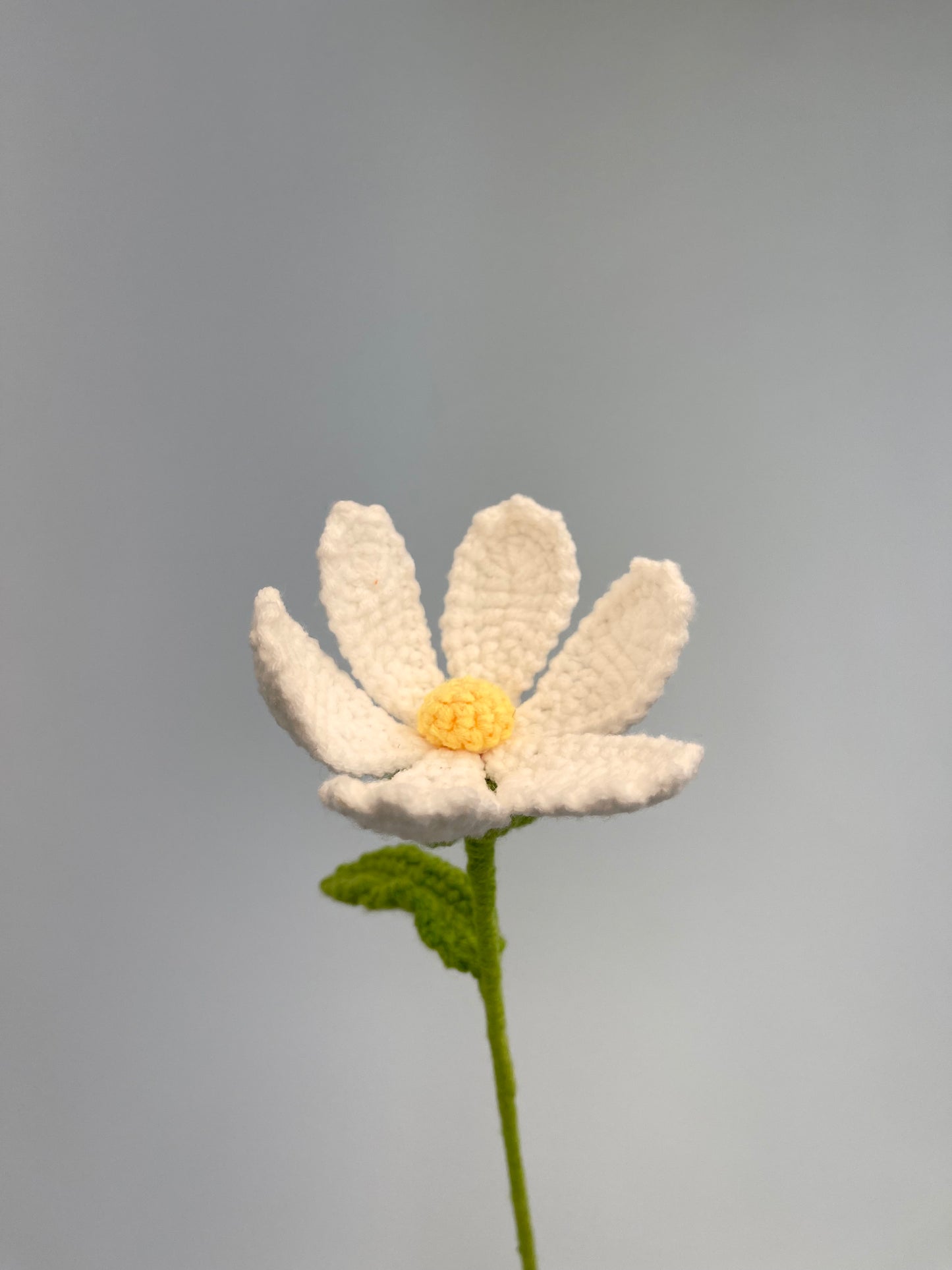 Cosmos